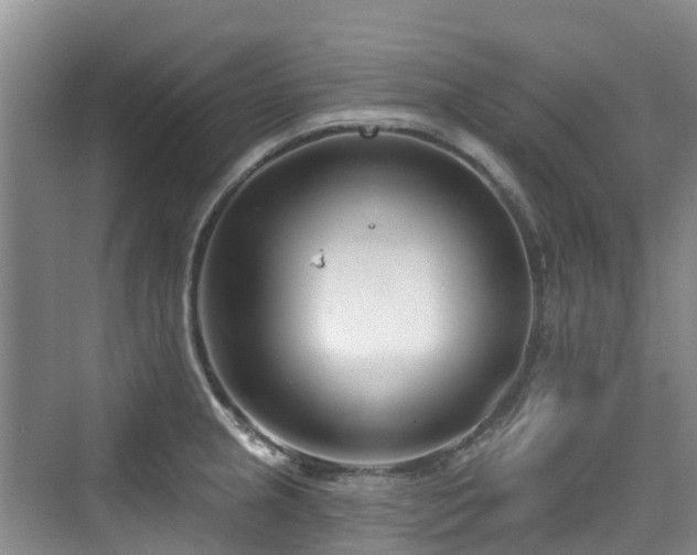 X0000073931237200608111152