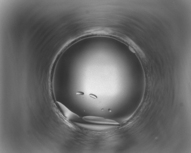 X0000073931240200608111152