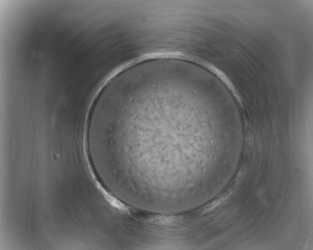 X0000073931245200608111152