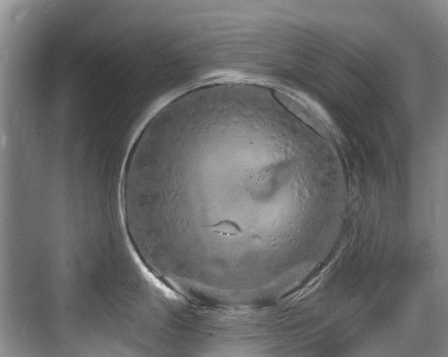 X0000073931247200608111152