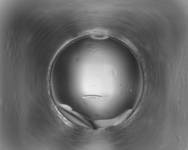 X0000073931248200608111152