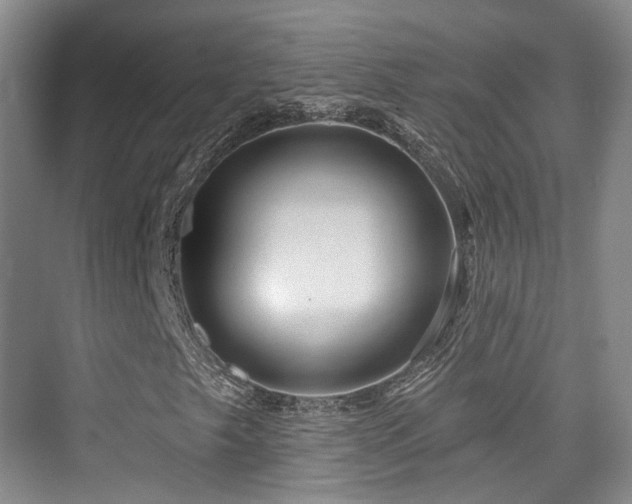 X0000073931249200608111151