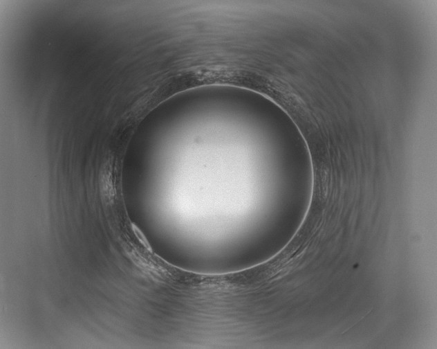 X0000073931250200608111151