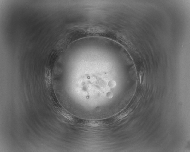 X0000073931251200608111151