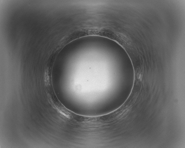 X0000073931252200608111151