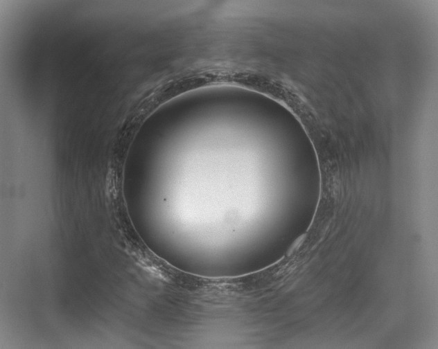 X0000073931253200608111151