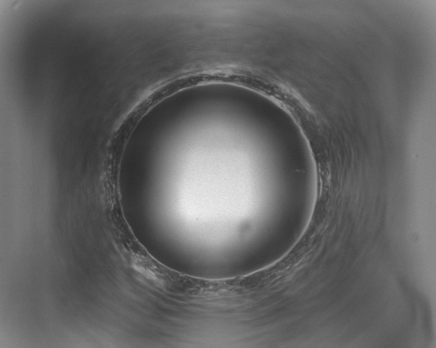 X0000073931256200608111151