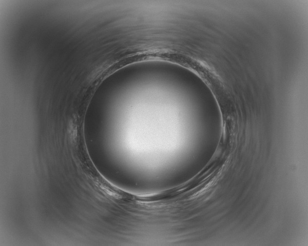 X0000073931257200608111151