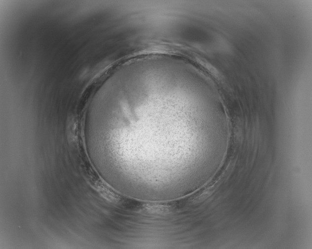 X0000073931258200608111151