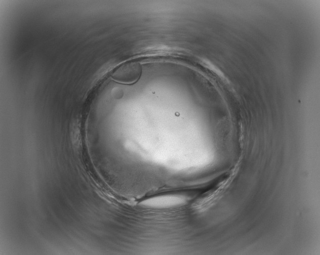 X0000073931259200608111151