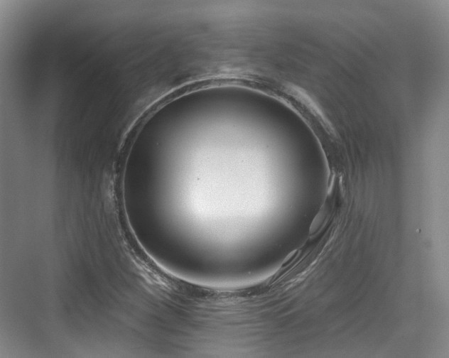 X0000073931260200608111151