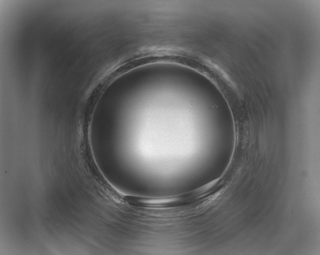 X0000073931261200608111151