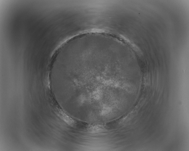 X0000073931262200608111151