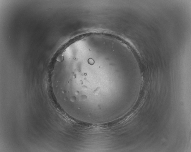 X0000073931263200608111151