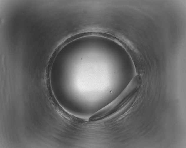 X0000073931264200608111151