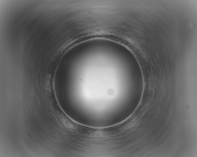 X0000073931265200608111151