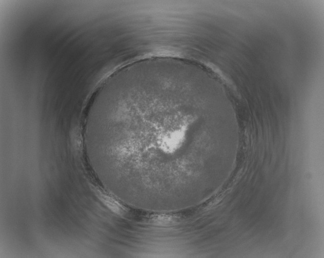 X0000073931266200608111151