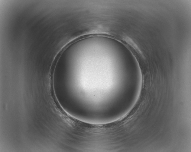 X0000073931268200608111151