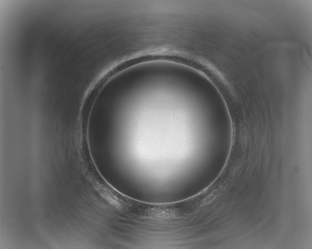 X0000073931270200608111151