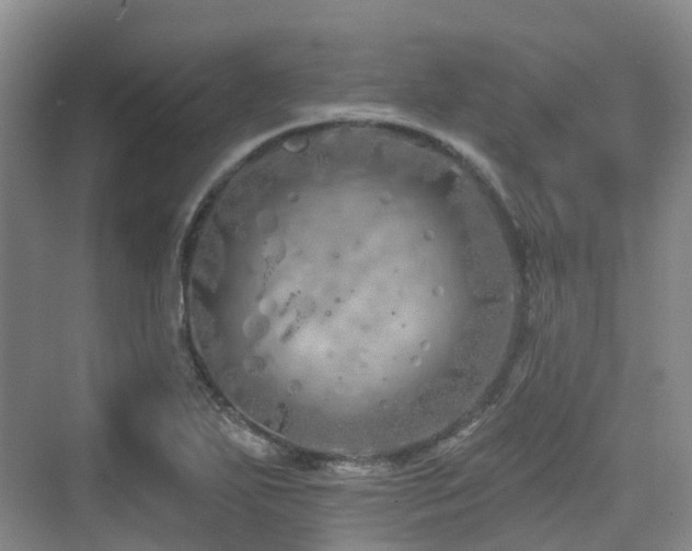 X0000073931271200608111151