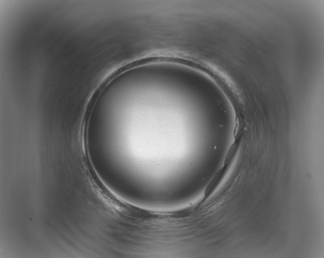 X0000073931272200608111151