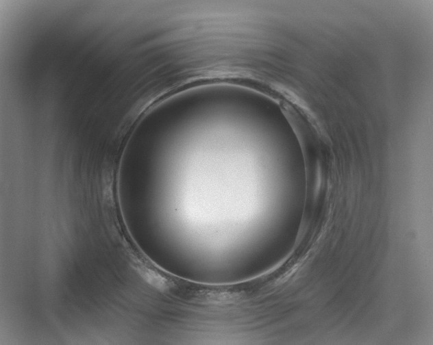 X0000073931273200608111151