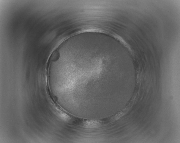 X0000073931274200608111151