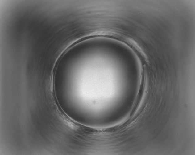 X0000073931276200608111151