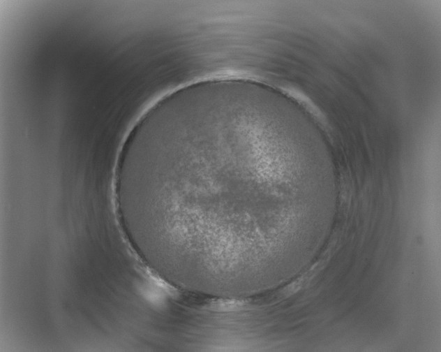 X0000073931278200608111151