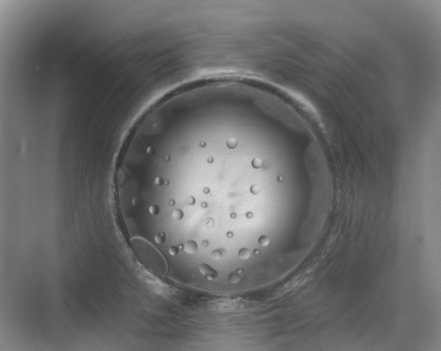 X0000073931279200608111151