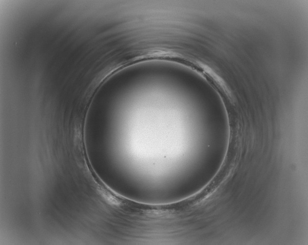 X0000073931281200608111151