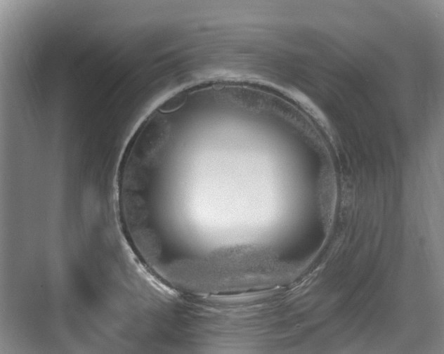 X0000073931287200608111150