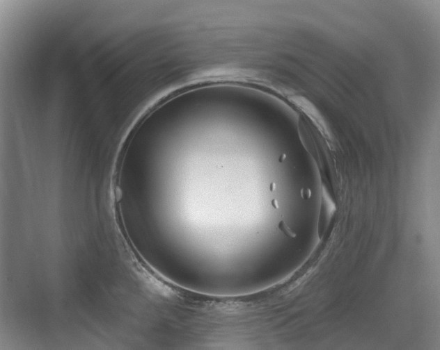 X0000073931288200608111150