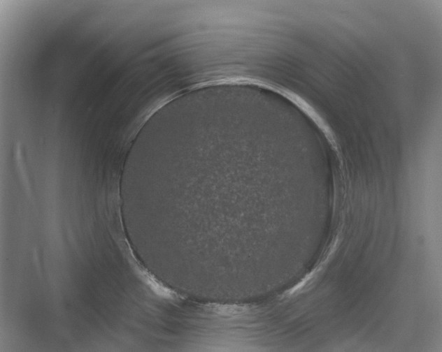 X0000073931289200608111150