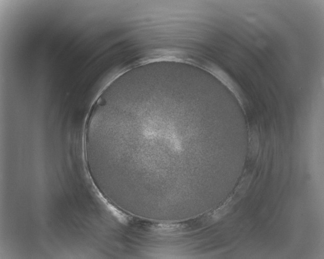 X0000073931290200608111150