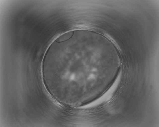 X0000073931291200608111150