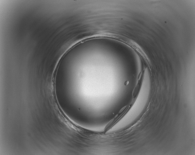 X0000073931292200608111150