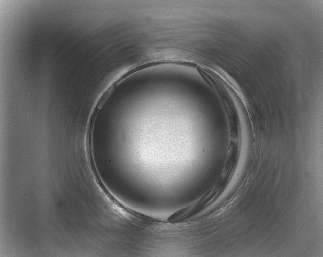 X0000073931293200608111150