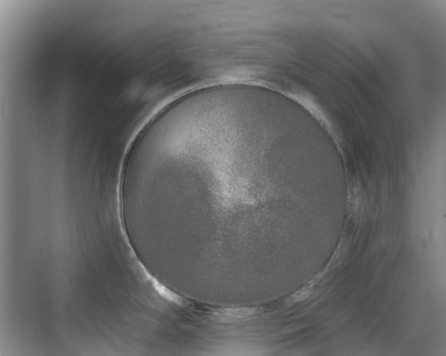 X0000073931294200608111150