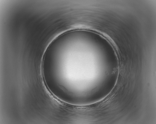 X0000073931295200608111150