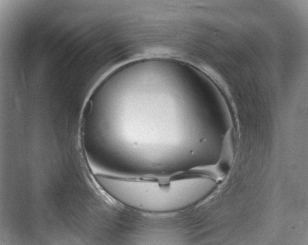 X0000073931296200608111150