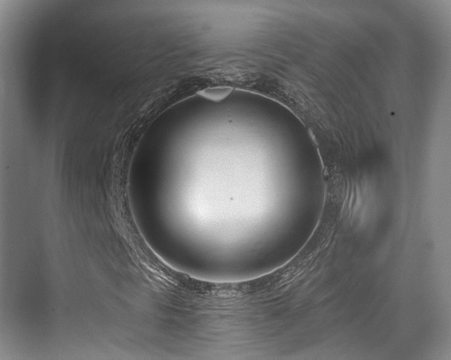 X0000073931297200608111150