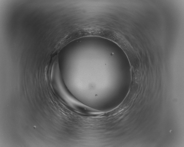 X0000073931298200608111150