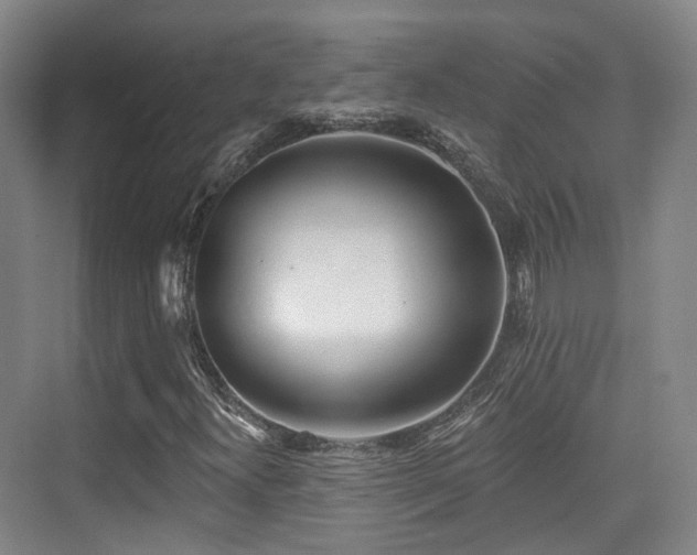 X0000073931300200608111150