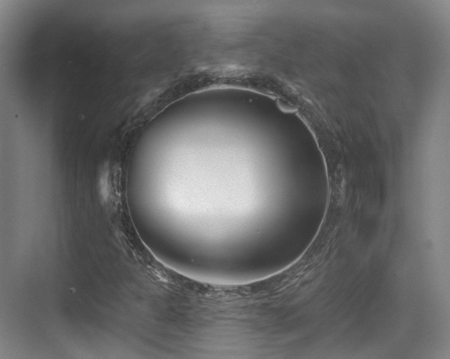 X0000073931301200608111150