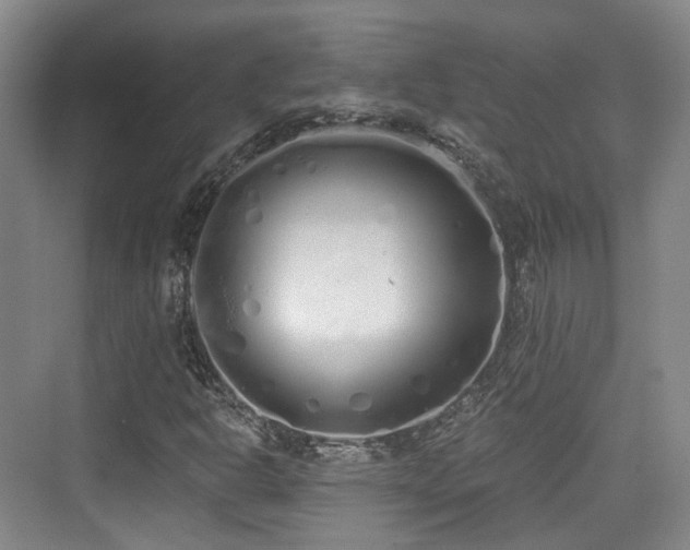 X0000073931302200608111150