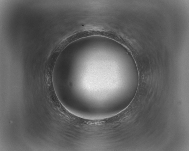 X0000073931303200608111150