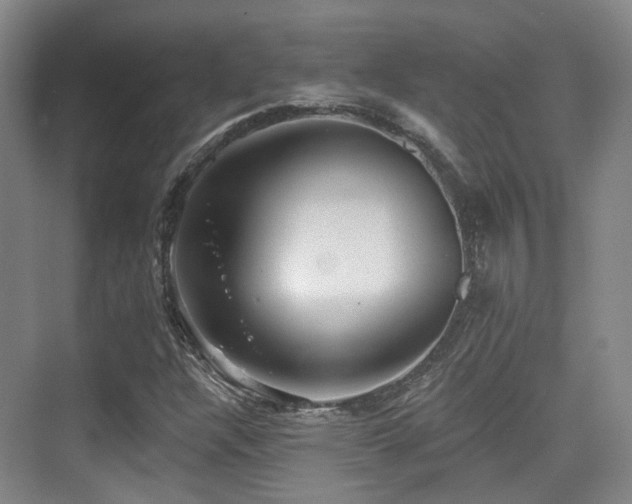 X0000073931304200608111150