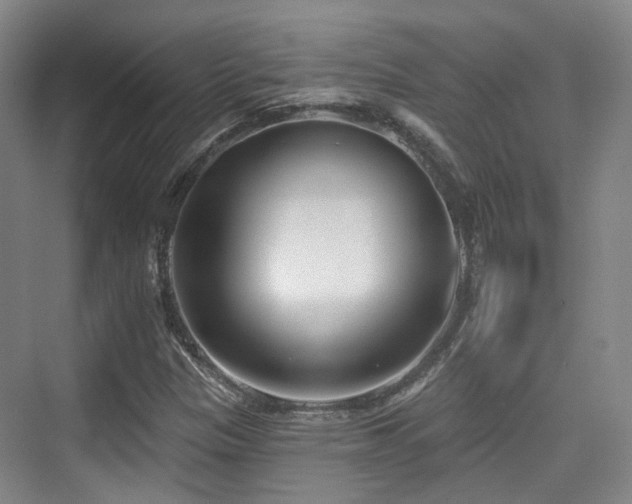 X0000073931305200608111150