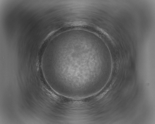 X0000073931306200608111150